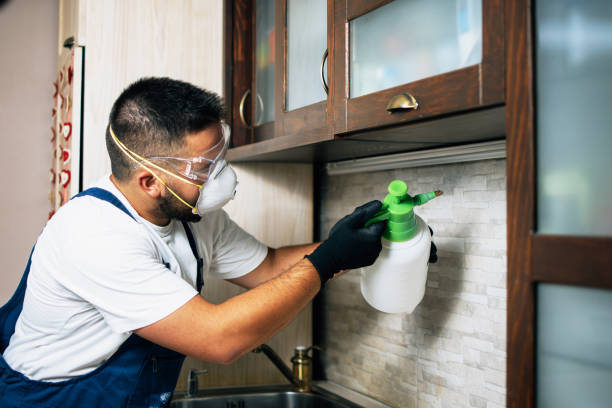 Best Residential Pest Control  in Williston Highlands, FL