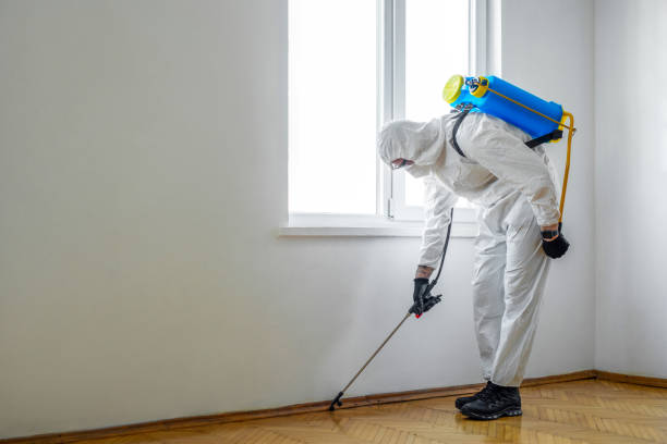 Professional Pest Control in Williston Highlands, FL