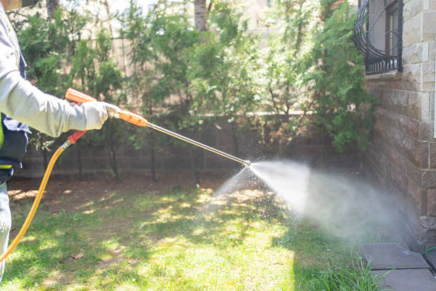 Best Flea Control Services  in Williston Highlands, FL