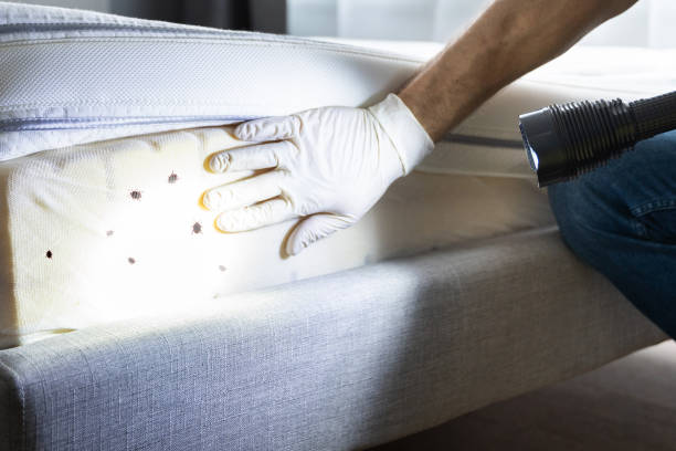 Best Pest Removal Services  in Williston Highlands, FL