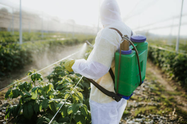 Best Mosquito Control Services  in Williston Highlands, FL